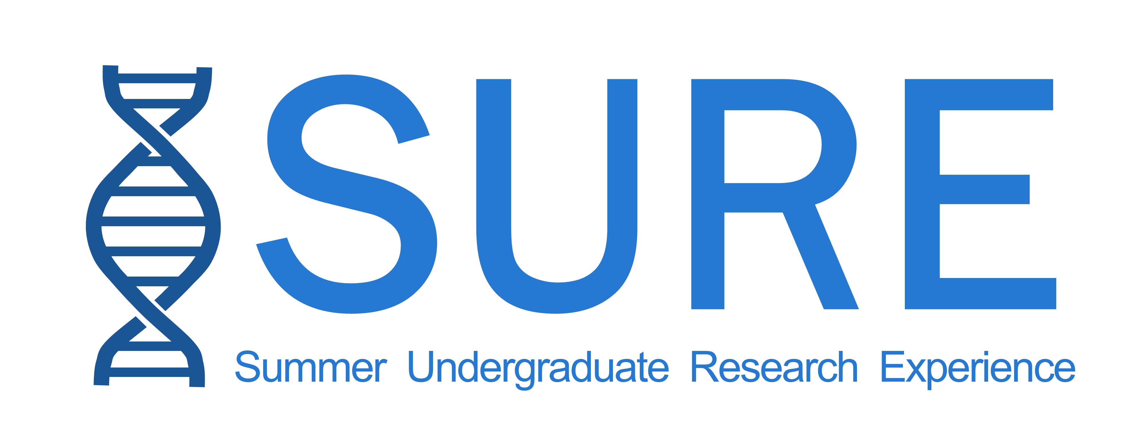 visa employment j Experience Research Undergraduate (SURE) Summer visa employment j Experience Research Undergraduate (SURE) Summer