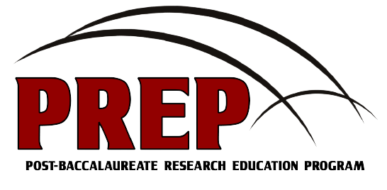 Graduate College > Programs > PREP > PREP Profiles